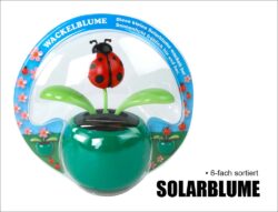 Solarblume