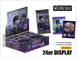 Wednesday 2025 Trading Cards Display