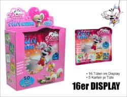 Diddl Activity Cards Display